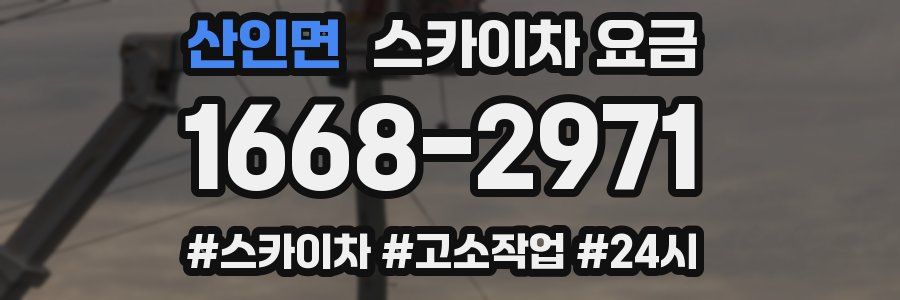 산인면 스카이차 요금