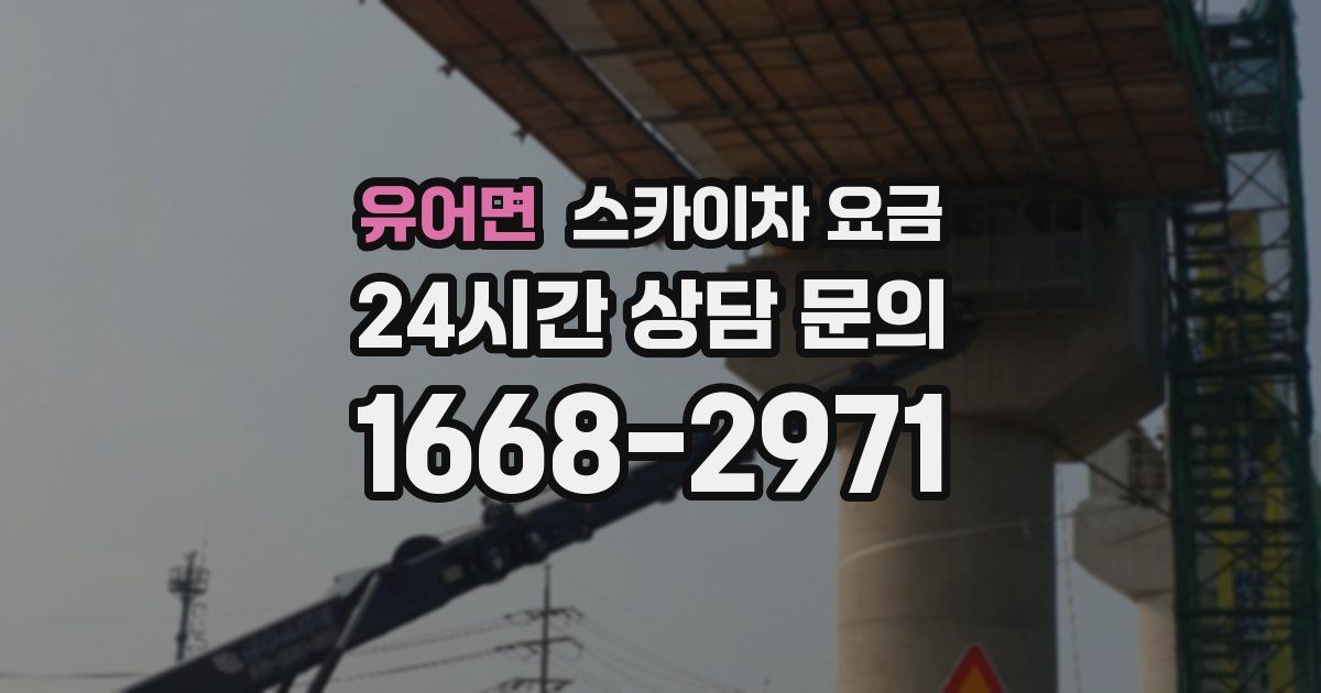 유어면 스카이차 요금