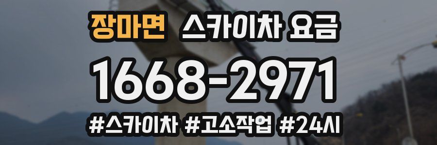 장마면 스카이차 요금