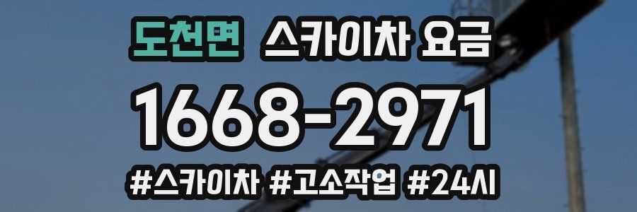 도천면 스카이차 요금