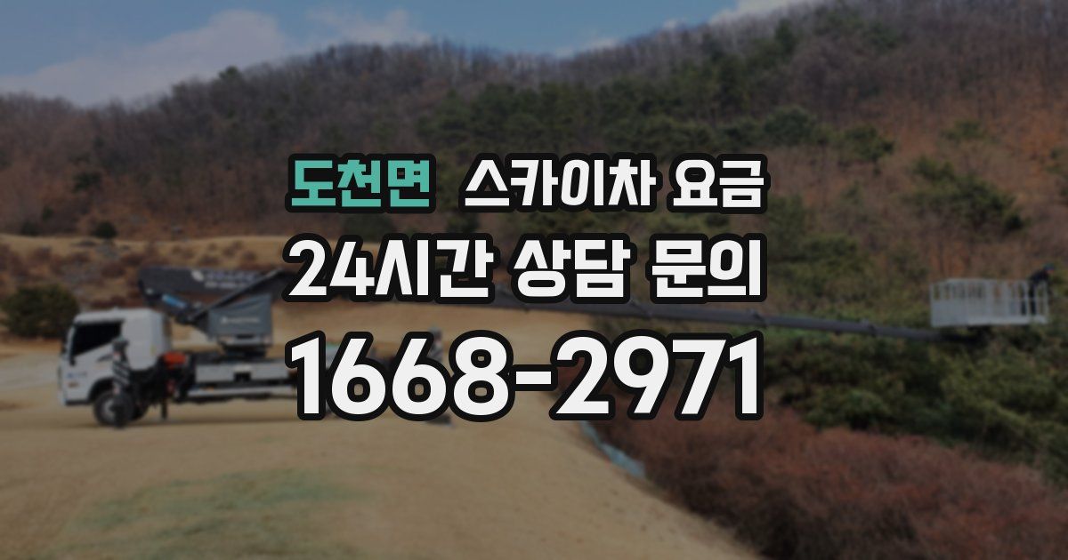 도천면 스카이차 요금