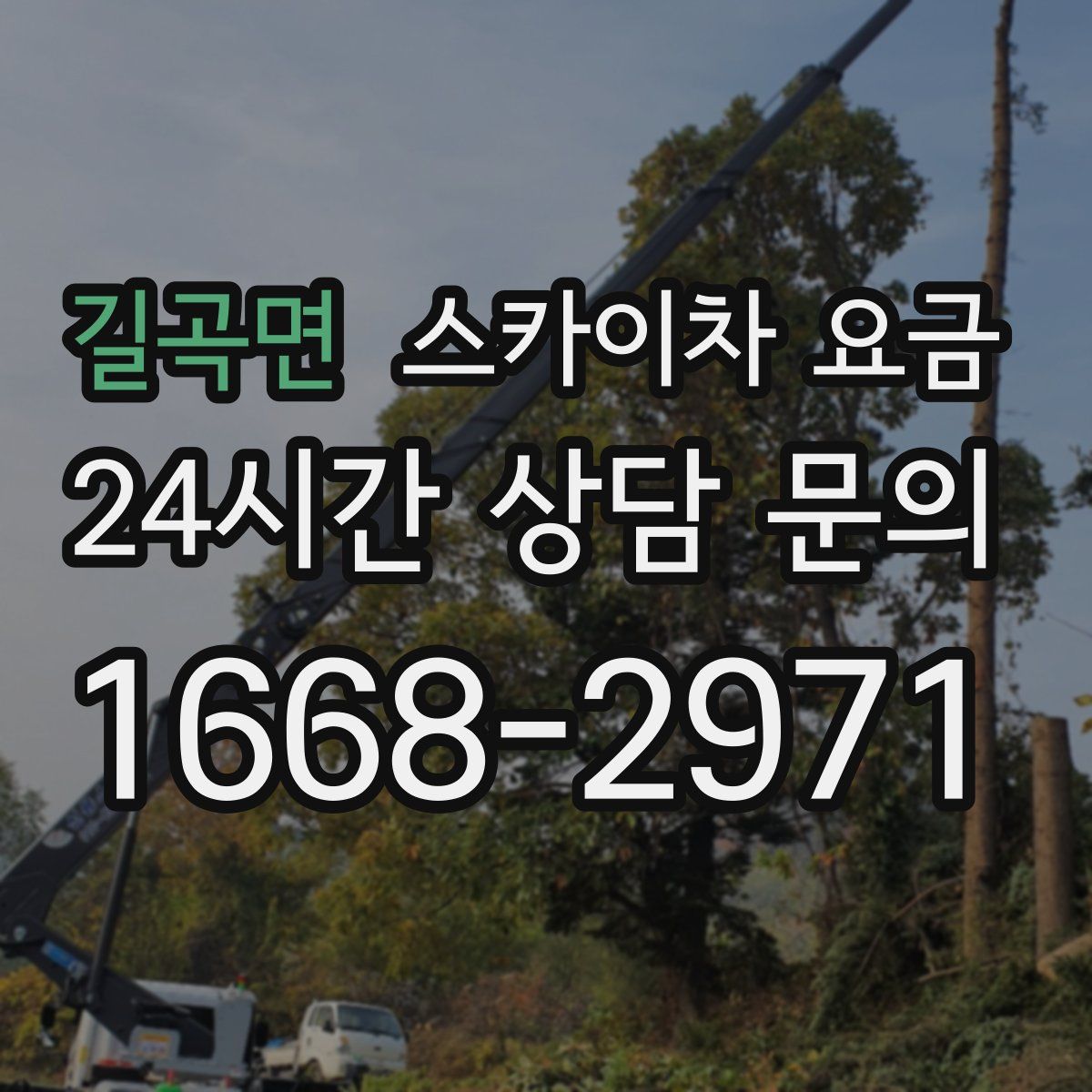 길곡면 스카이차 요금