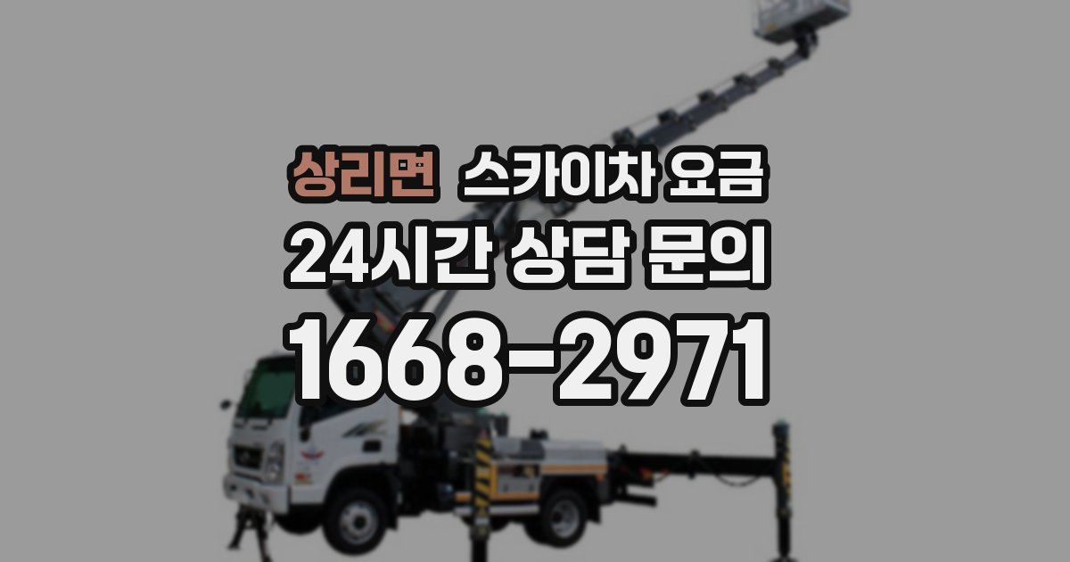 상리면 스카이차 요금