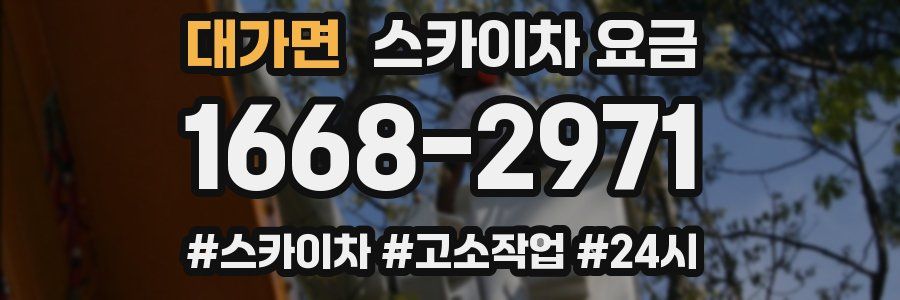 대가면 스카이차 요금