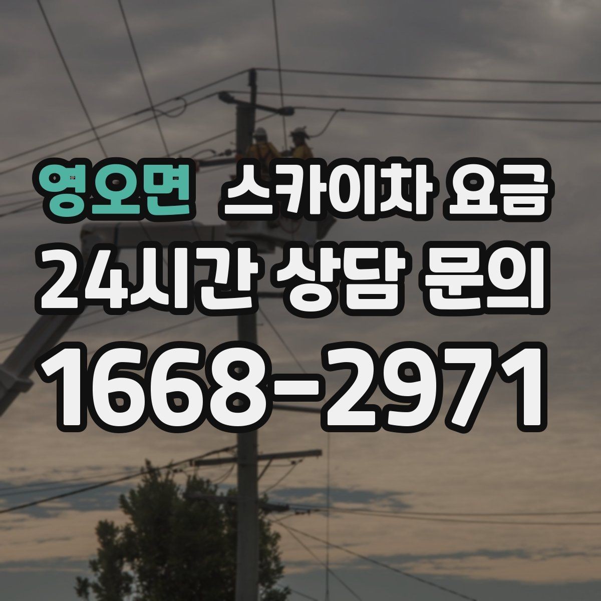 영오면 스카이차 요금 장비 제원에 따라 달라질 수 있는 부분