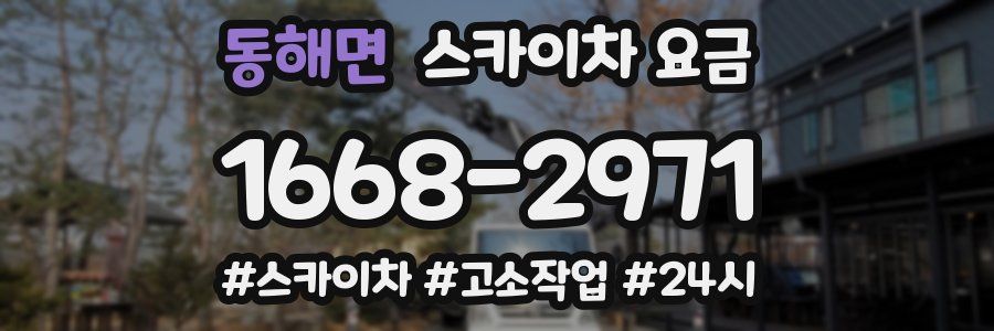 동해면 스카이차 요금