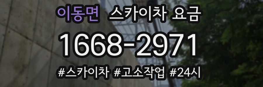 이동면 스카이차 요금