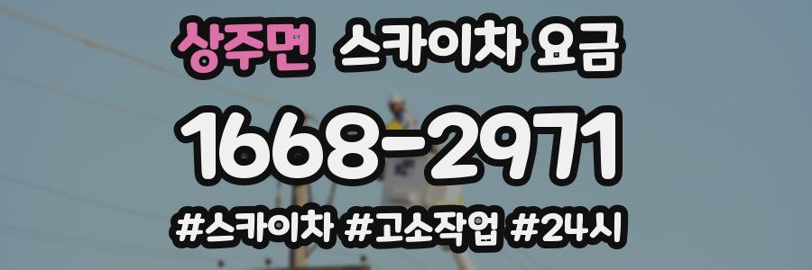 상주면 스카이차 요금