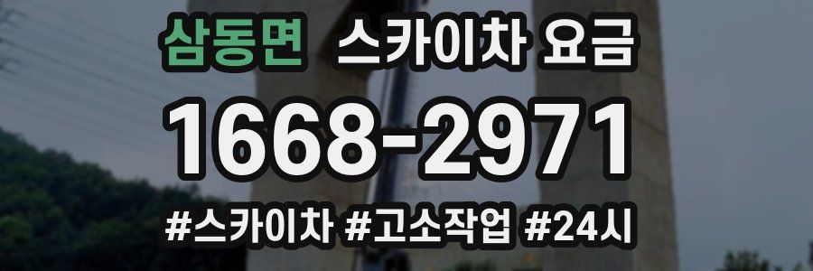 삼동면 스카이차 요금