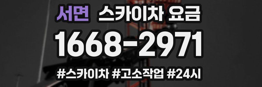 서면 스카이차 요금