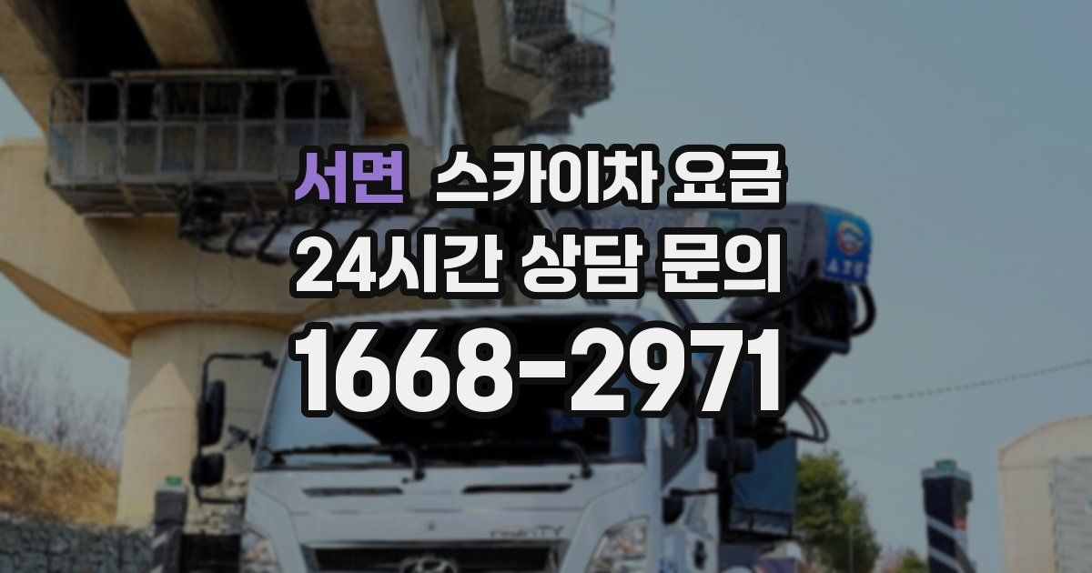 서면 스카이차 요금