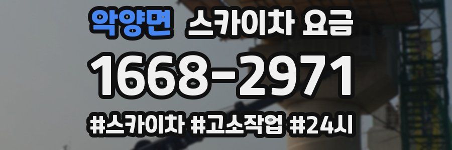 악양면 스카이차 요금