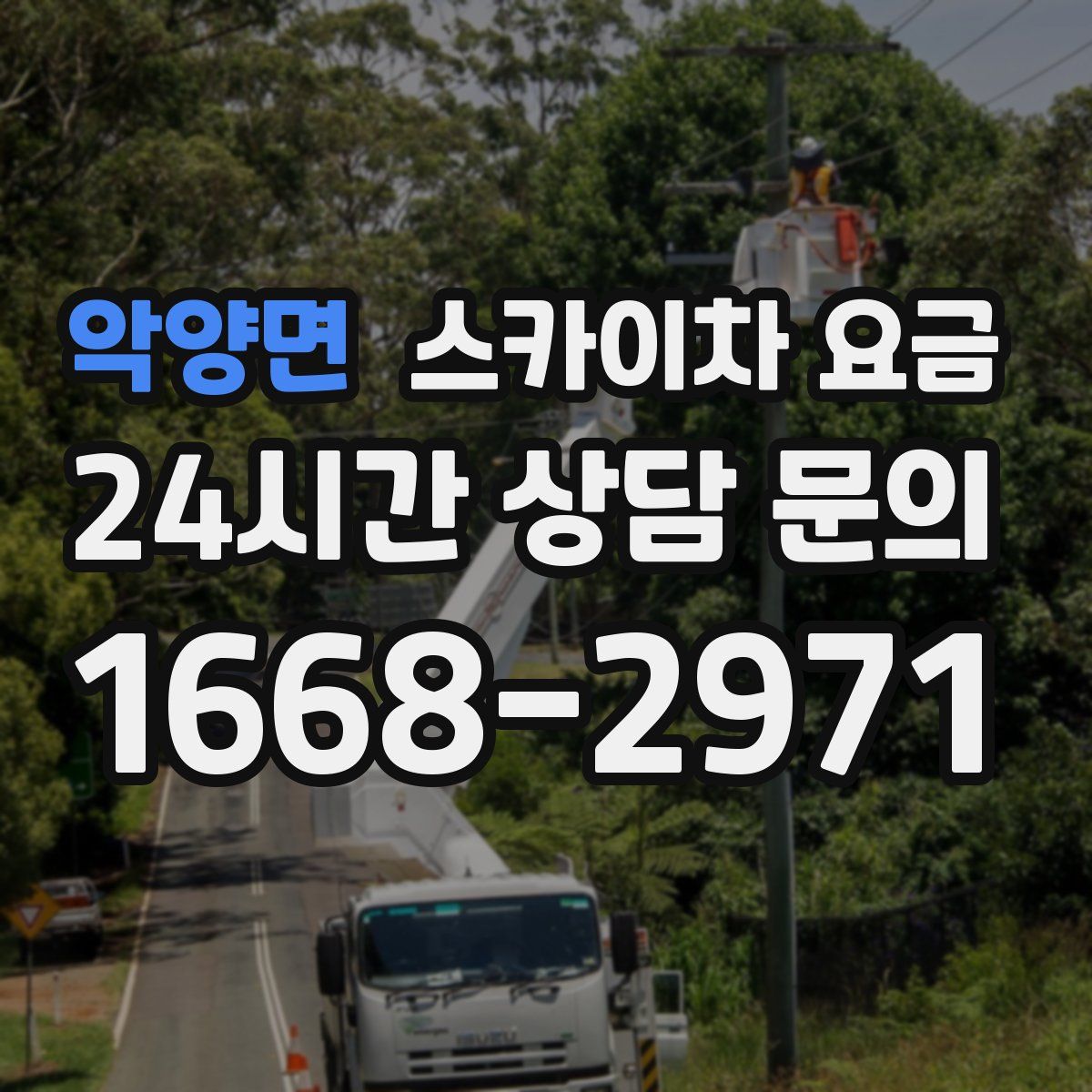 악양면 스카이차 요금