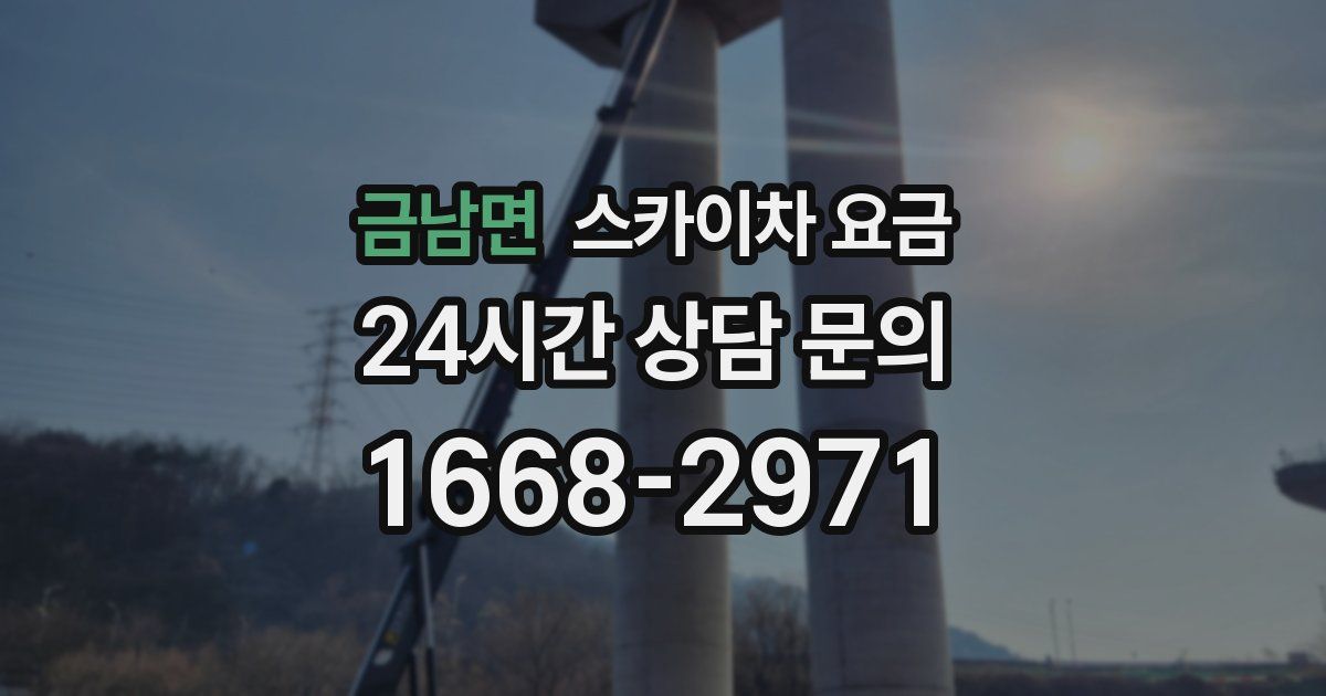 금남면 스카이차 요금