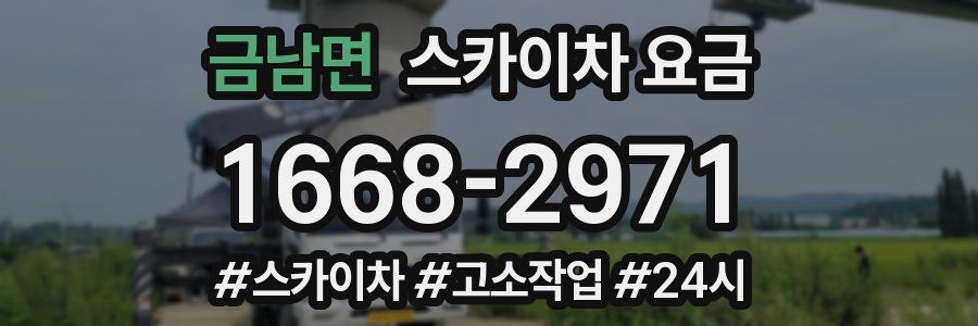 금남면 스카이차 요금