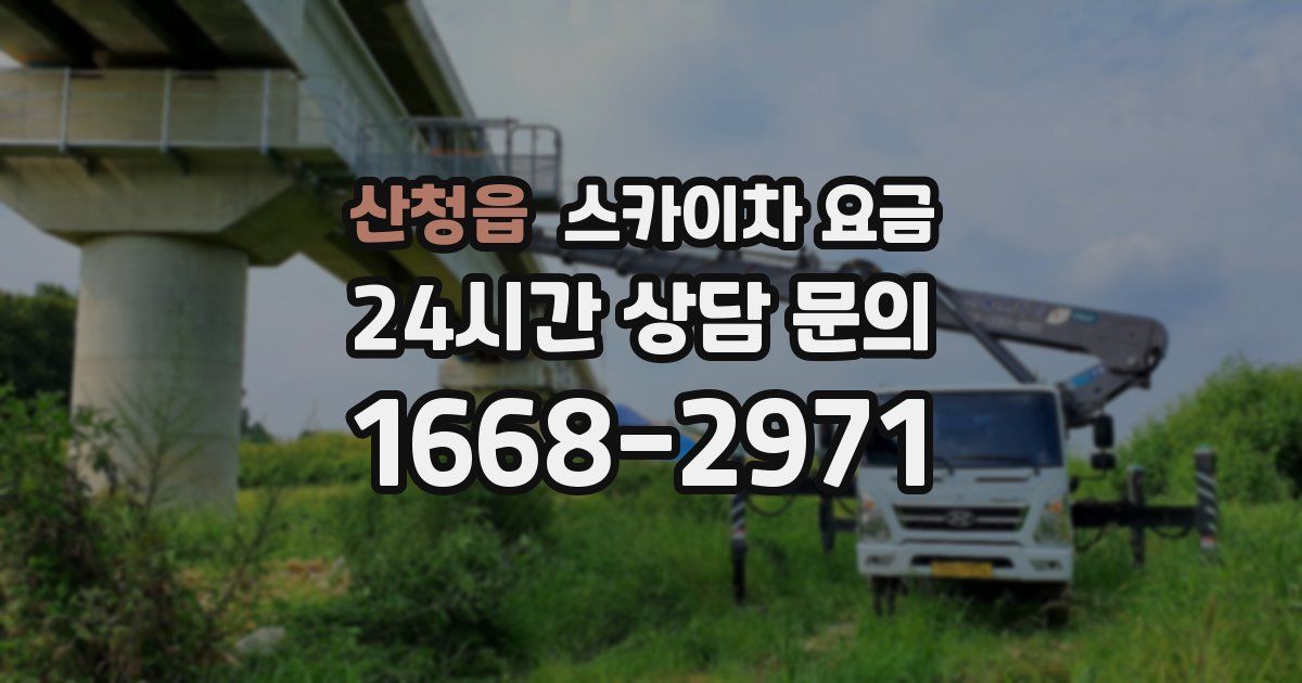 산청읍 스카이차 요금