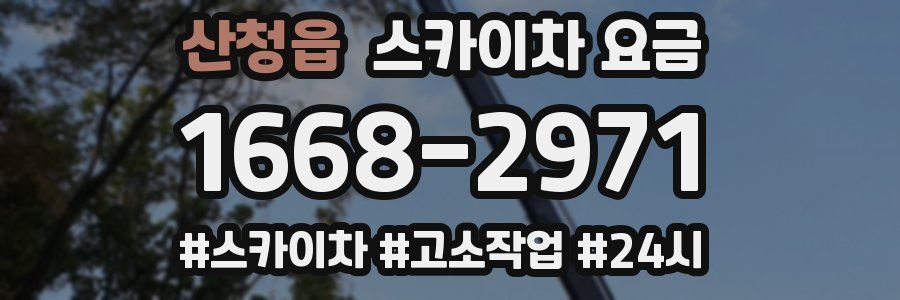 산청읍 스카이차 요금