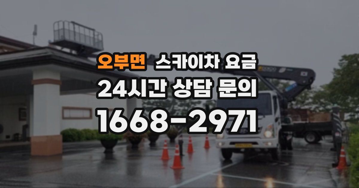 오부면 스카이차 요금