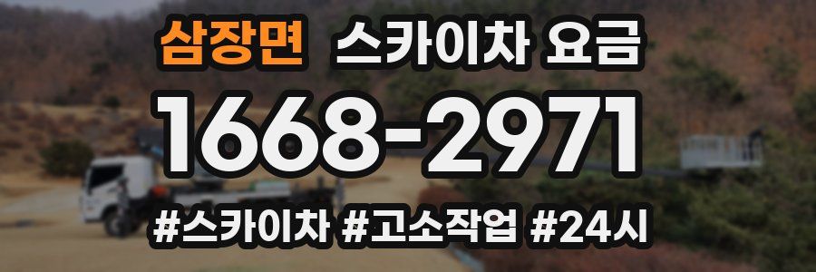 삼장면 스카이차 요금