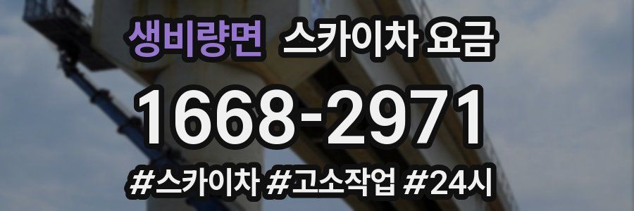 생비량면 스카이차 요금