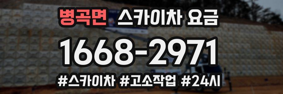 병곡면 스카이차 요금