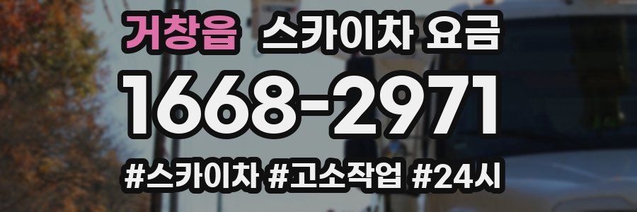 거창읍 스카이차 요금