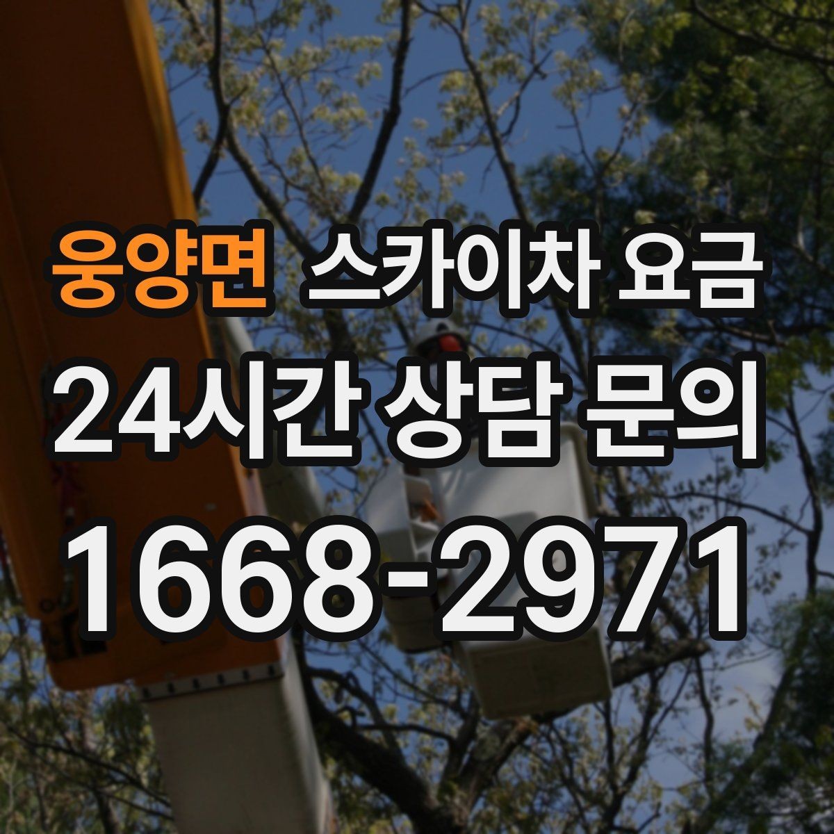 웅양면 스카이차 요금 벽부형 안내판 철거가 포함되면 달라질까