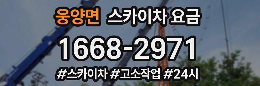 웅양면 스카이차 요금