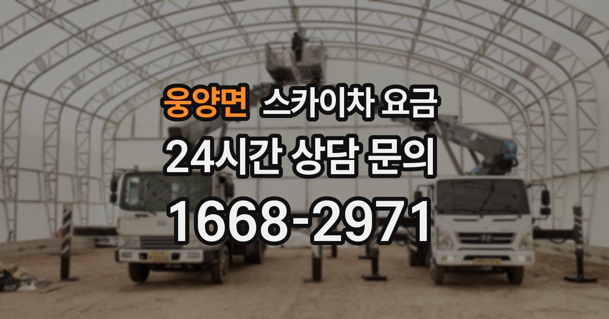 웅양면 스카이차 요금