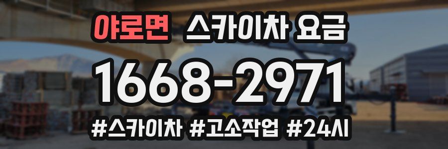 야로면 스카이차 요금