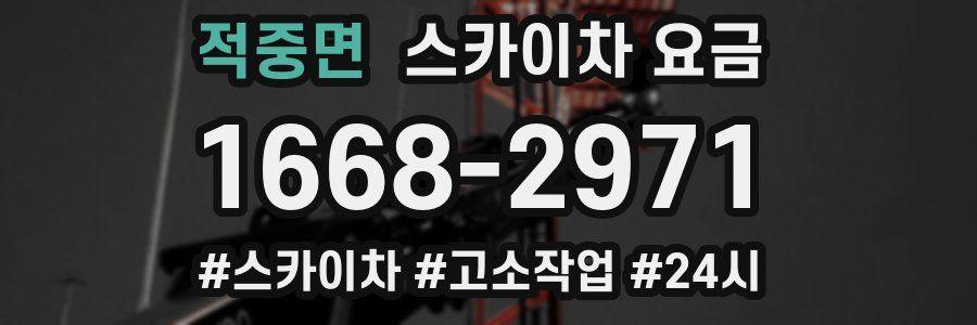 적중면 스카이차 요금