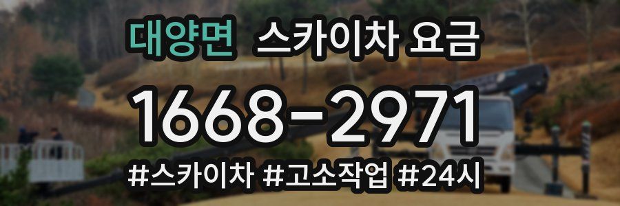 대양면 스카이차 요금