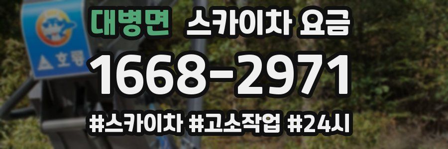 대병면 스카이차 요금