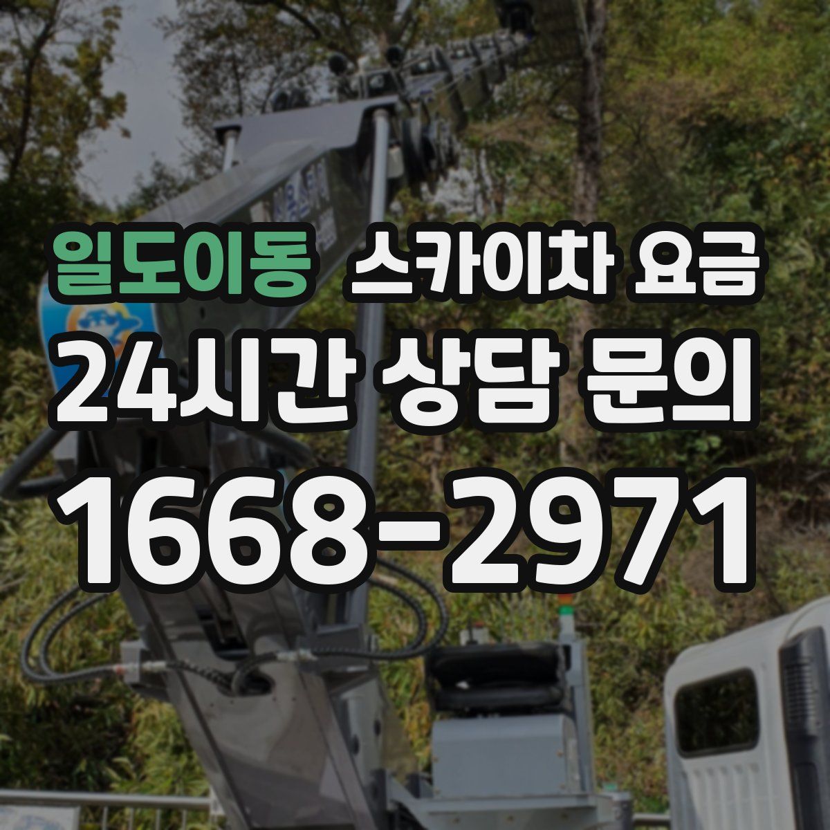 일도이동 스카이차 요금