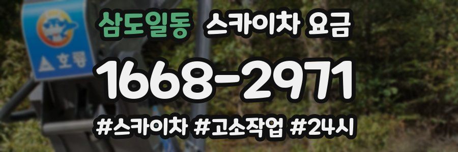 삼도일동 스카이차 요금