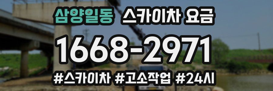 삼양일동 스카이차 요금