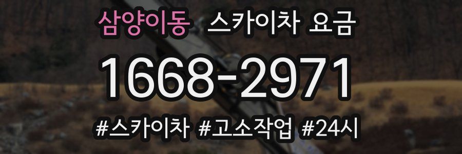 삼양이동 스카이차 요금