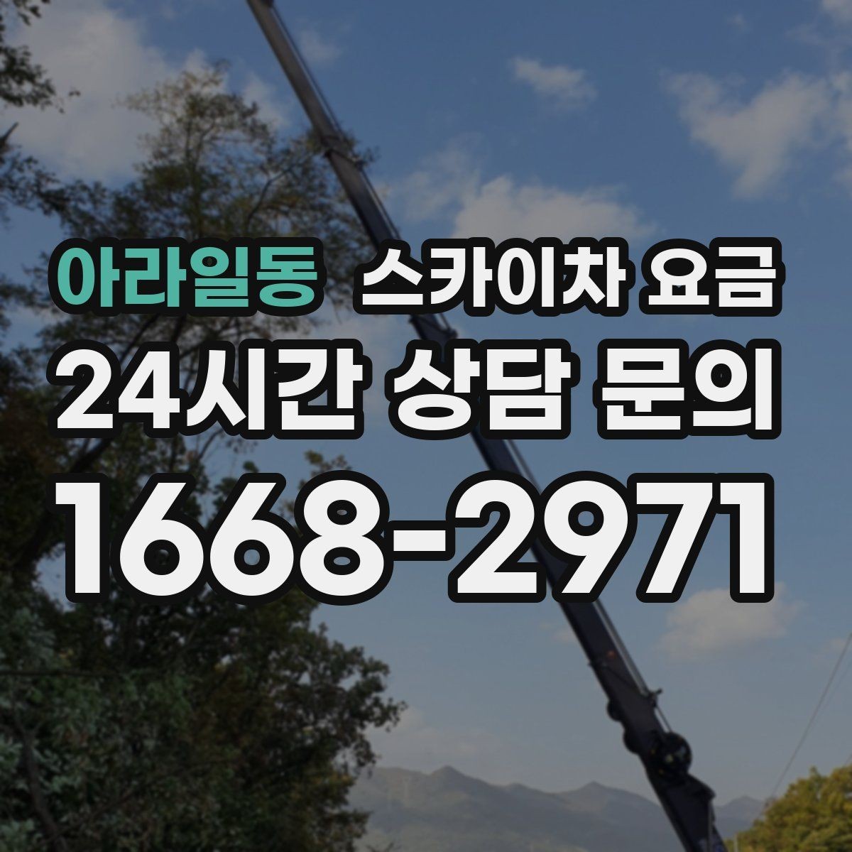 아라일동 스카이차 요금 외벽 크랙 점검만 하는 경우 비용 포인트