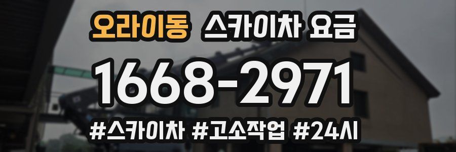 오라이동 스카이차 요금