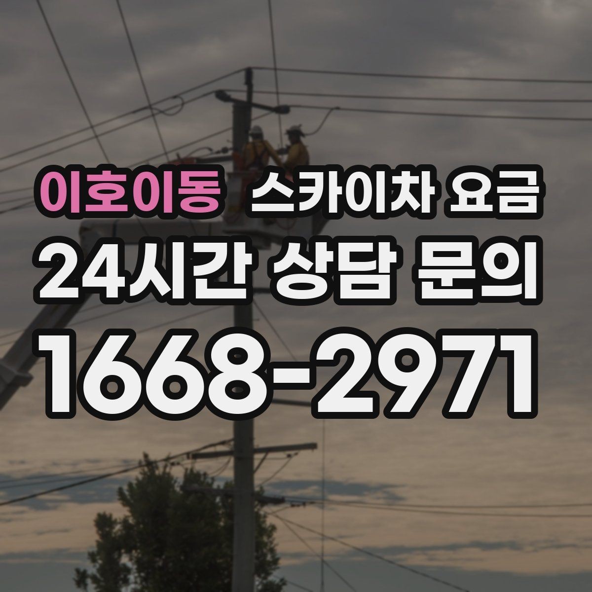 이호이동 스카이차 요금 간판 스위치·배선 점검이 필요한 경우