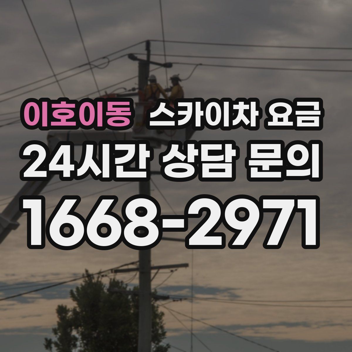 이호이동 스카이차 요금