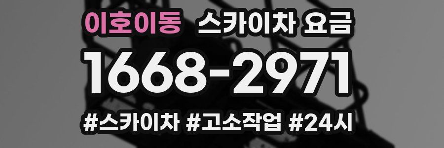 이호이동 스카이차 요금