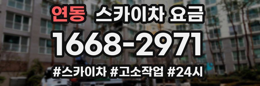 연동 스카이차 요금