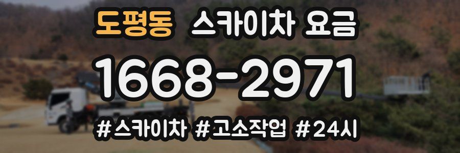 도평동 스카이차 요금