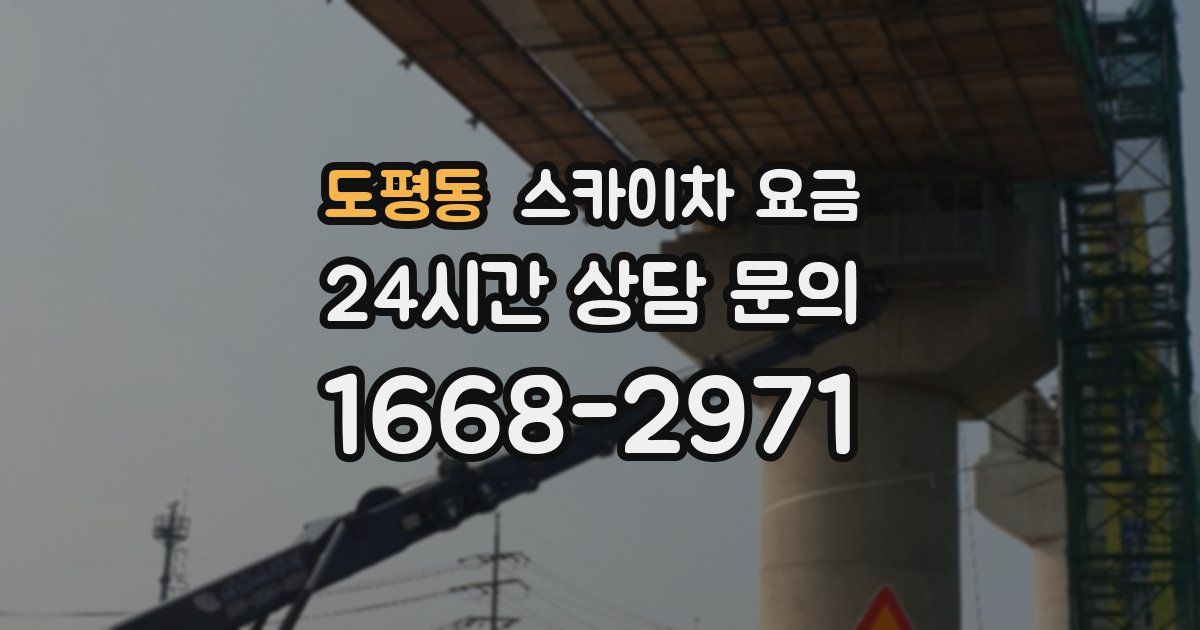 도평동 스카이차 요금