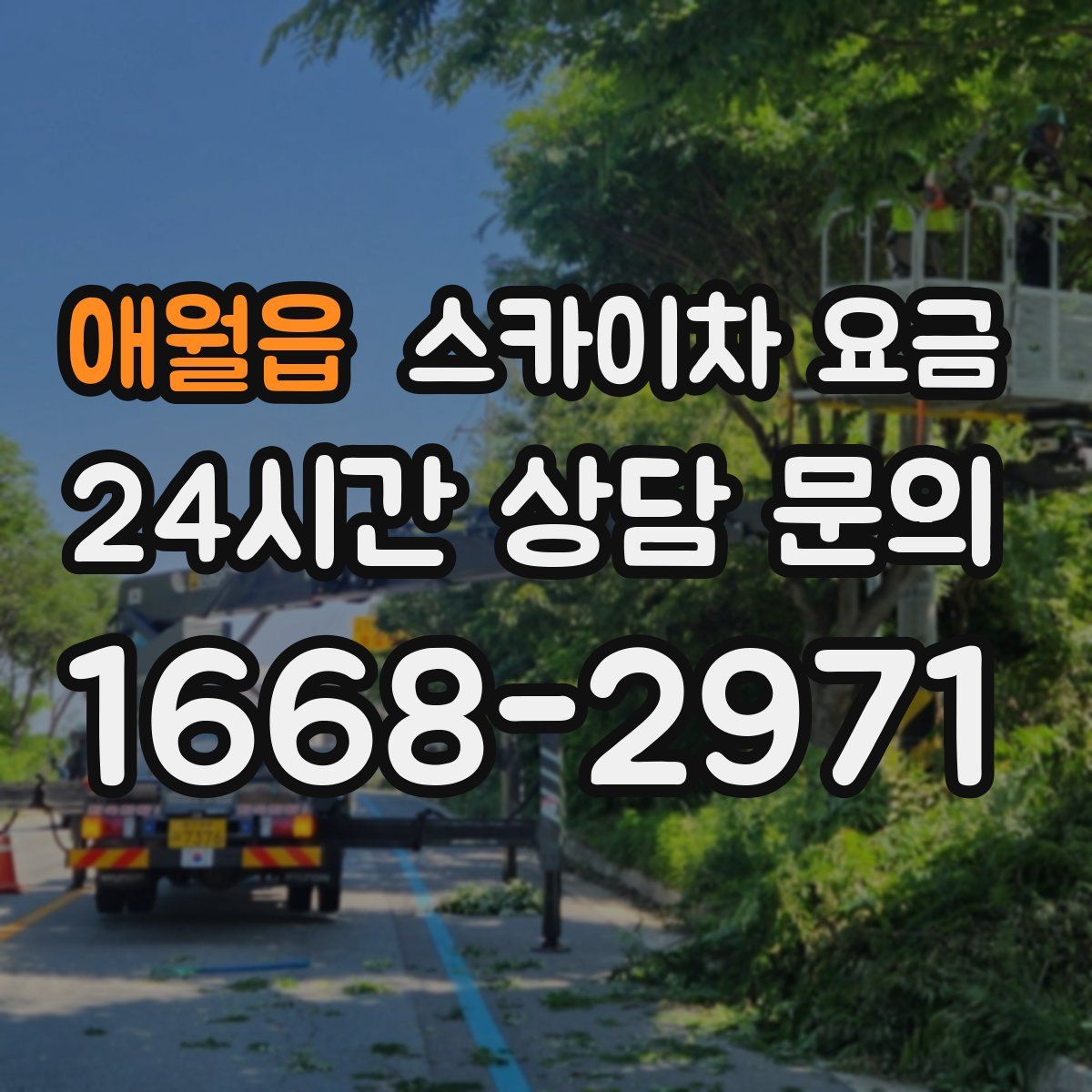 애월읍 스카이차 요금