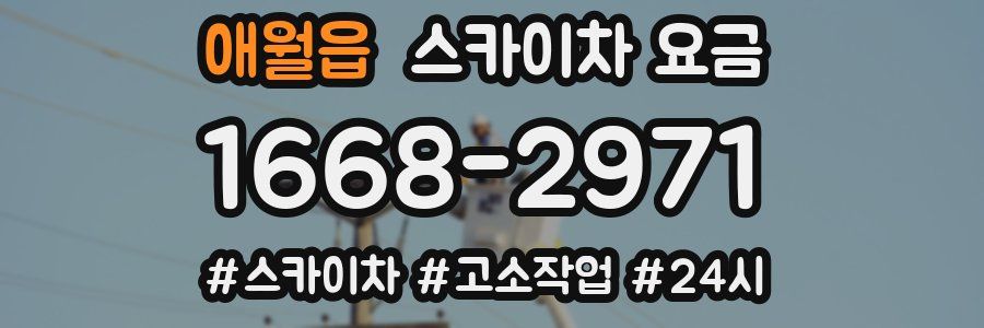 애월읍 스카이차 요금