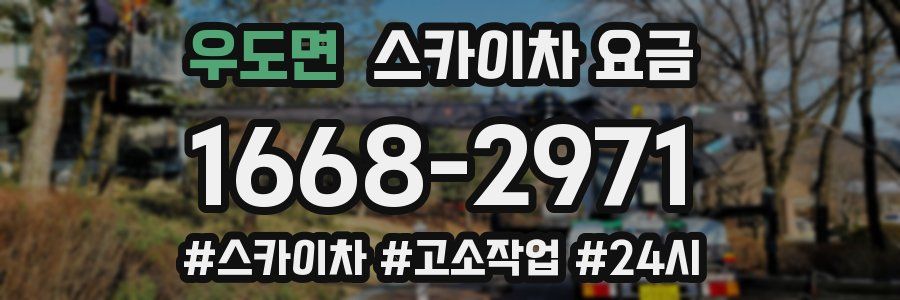 우도면 스카이차 요금