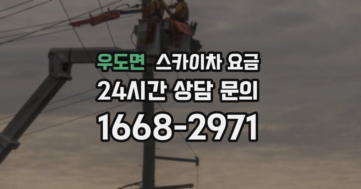 우도면 스카이차 요금