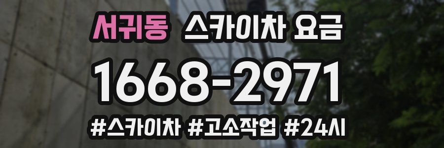 서귀동 스카이차 요금